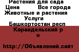 Растения для сада › Цена ­ 200 - Все города Животные и растения » Услуги   . Башкортостан респ.,Караидельский р-н